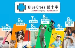 透過優惠碼「STORELLET」投保藍十字一般保險